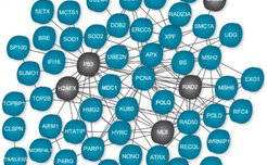 Unlike the genetic blueprint (genome), the protein equipment (proteome) of an organism is not the same for all cells. Even in one and the same cell, it changes very fast. Matthias Mann and his research department want to find out which proteins exist in a cell at a certain point of time.