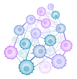 the social network of immune cells