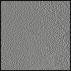 High-resolution 3D structure of huntingtin aggregates generated from cryo electon tomograms.