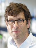 Mark S. Hipp, PhD