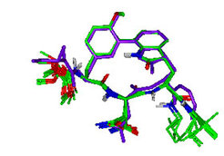 TMC-95A in comparison with a synthetic macrocycle