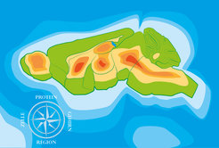 Was wie eine Insel aussieht, ist die schematisch Form eines Maushirns. Forscher haben jetzt das Proteom des Gehirns einer Maus analysiert und die Daten in einem Atlas zusammengefasst.