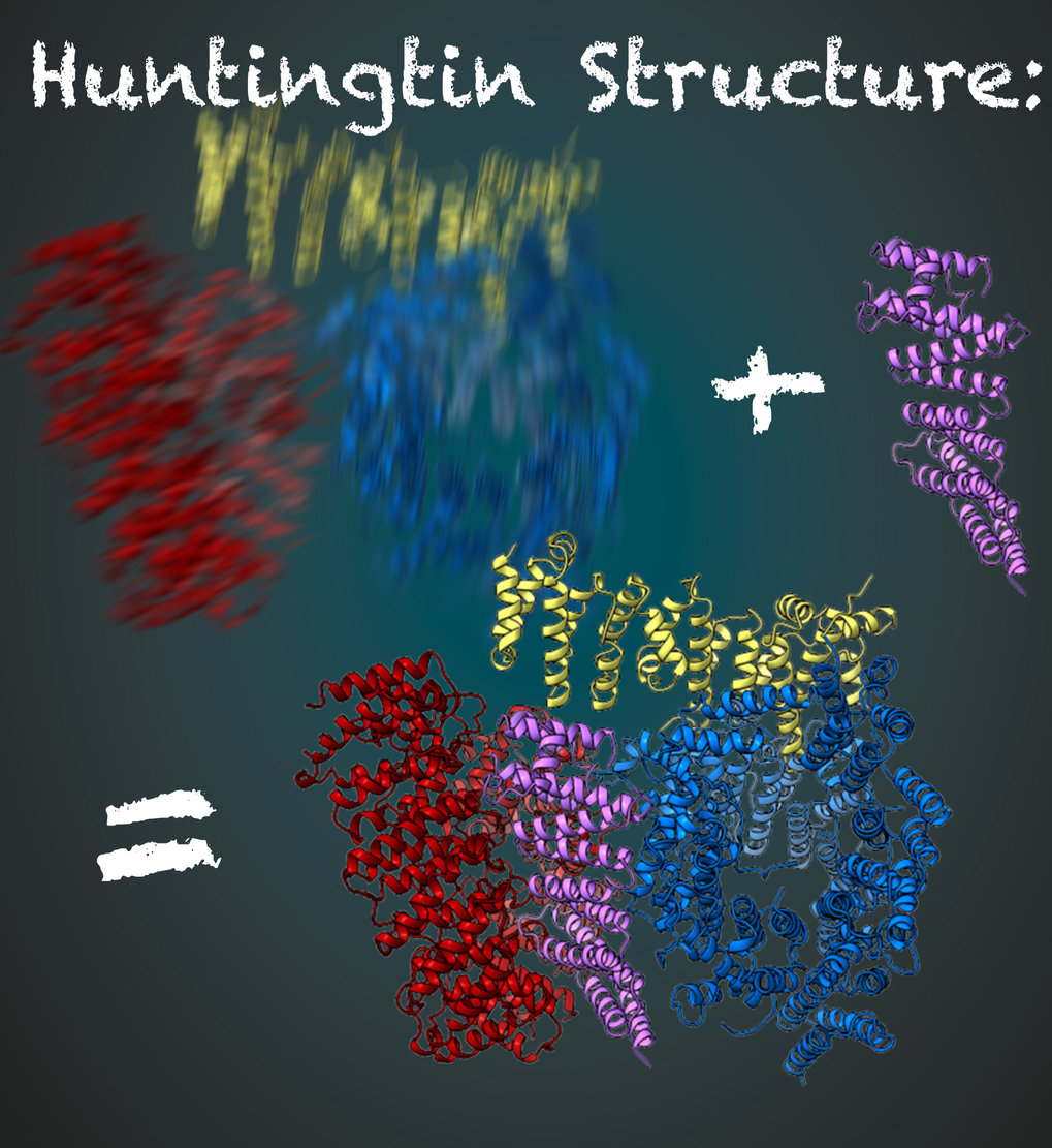 <p style="text-align: left;" align="center">Decoding the structure of the huntingtin protein</p>
