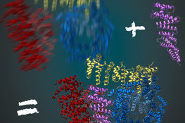 <p style="text-align: left;" align="center">Decoding the structure of the huntingtin protein</p>