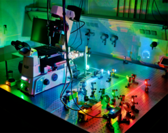 Super-resolution microscopy. With DNA-PAINT it is possible to visualize all the strands in DNA nanostructures individually.