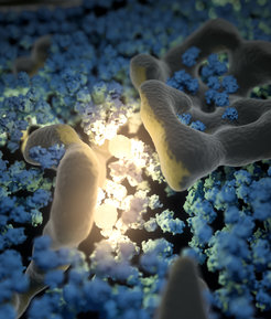 This image depicts a 3D rendering of a cryo-electron tomogram of the yeast cytoplasm, with fluorescent GEM particles (yellow) lighting up a cellular environment that is crowded with ribosomes (blue) and membranes (grey).