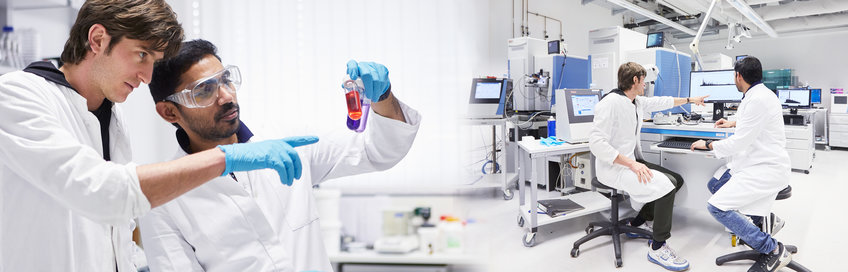 PhD Bewerbung PhD Bewerbung