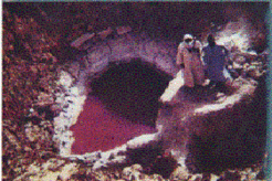 Halobacterium salinarum in its natural environment. The picture shows a salty pond in the Arabian desert, which is colored red due to the presence of Halobacterium salinarum.