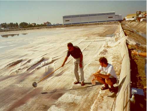 Fig.2A: Henk Bolhuis and Francisco Rodriguez-Valera take a sample from a freshly harvested crystalliser pond in Alicante, Spain. From this sample, 'Haloquadratum walsbyi' was isolated by Henk Bolhuis.