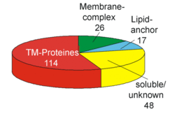 Fig. 2B: Many integral membrane proteins were identified after 1D SDS gel electrophoresis followed by LC/MS/MS analysis.
