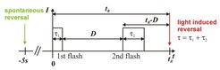Fig. 4: Temporal course of a double flash experiment. Note that τ1, τ2 and D are smaller than t(min) and τ1 is negligibly small compared to D.