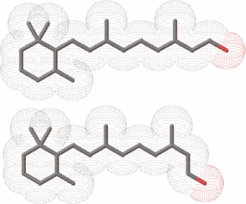 Fig. 3: the structure of all-trans and 13-cis retinal