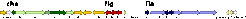 The motility and signal transduction cluster of Halobacterium salinarum. This cluster contains most of the chemotaxis genes (che), three of the five flagellin genes (flg), and a cluster of flagella-associated genes (fla), some of which have been shown to be involved in flagellin export and flagella assembly.