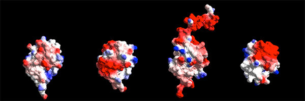 Ubiquitin Family Proteins,
DNA Transactions, Chromatin Biology, Autophagy
The JENTSCH Lab Ubiquitin Family Proteins,
DNA Transactions, Chromatin Biology, Autophagy
The JENTSCH Lab