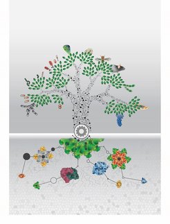 All living organisms are evolutionarily related. The analysis of the proteomes of 100 different organisms from all life domains provides a high amount of new molecular information.