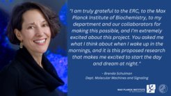 Brenda Schulman, Director of the Research Departent Molecular Machines and Signaling