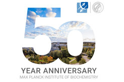 Susanne Vondenbusch-Teetz, MPI of Biochemistry