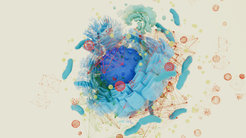 Illustration of a cell with its various components. The protein-protein interactions, in other words the social network of proteins, are represented by the red, orange and green lines. The corner points of the connections each symbolize an investigated protein in the cell.