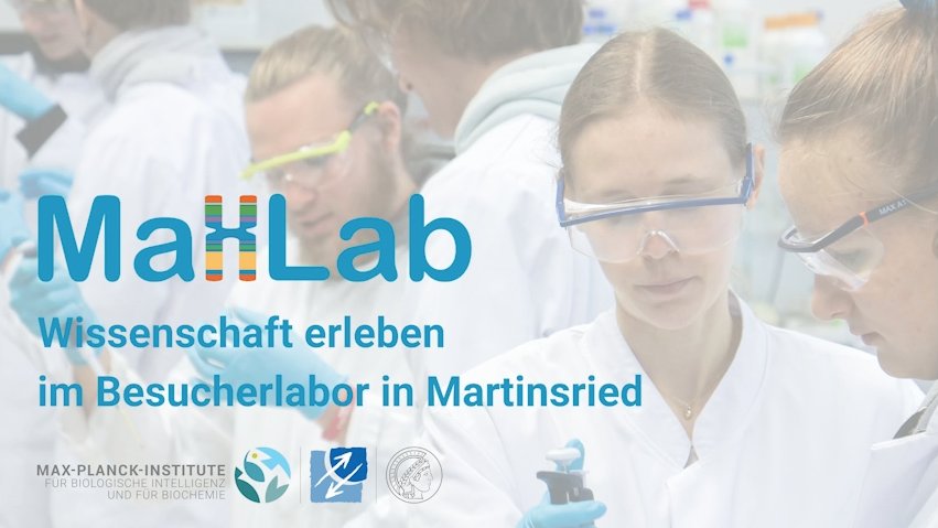 Film über das MaxLab