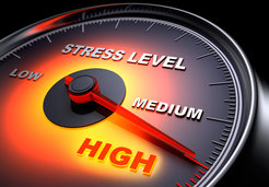 The protein Urm1 plays a crucial role in cellular stress. It binds to cell proteins and facilitates the formation of stress granules.